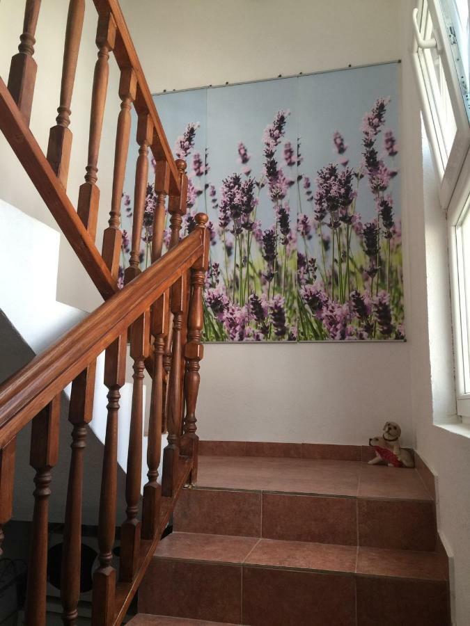 Apartments Villa Dolmar Vodice Exterior photo